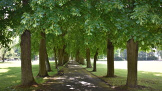 Hýčkejte se! Přemohl vás covid? Vzpamatujte se z něj v lázních