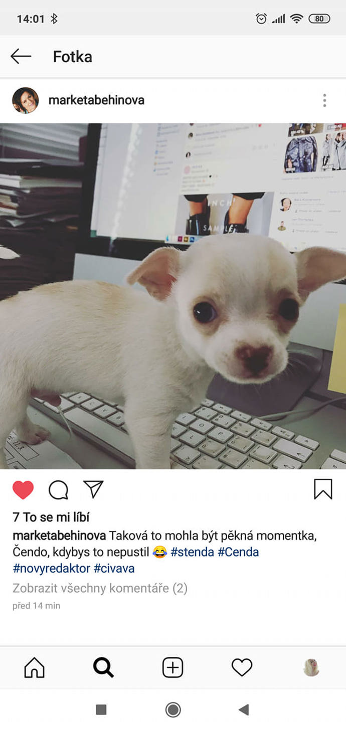 Čenda se jako štěňátko seznámil také s šéfredaktorkou webu Lifee.cz Markétou Behinovou. Byl z toho tenkrát celý nesvůj, takže se neudržel a počůral se jí přímo do klávesnice.