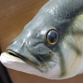 K zahození není ani zpívající ryba Big Mouth Billy Bass. Jednu má prý i britská královna Alžběta II.