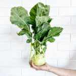 Paradoxně mají víc těchto látek listy kedlubny, které se moc nekonzumují. A to je chyba. Lze je nasekat do salátu, na chléb s máslem, ale také podusit místo špenátu.