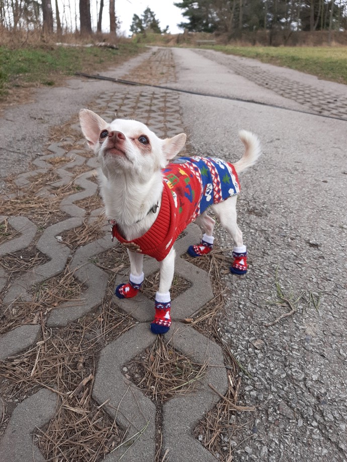 Čendův outfit dotahuje k dokonalosti vhodně zvolená obuv.