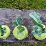 Kedlubna obsahuje spoustu vitamínu C a vápníku. 