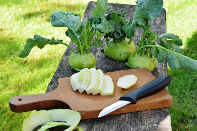 Kedlubna se v obchodech objevuje prakticky po celý rok. Nejchutnější je ovšem na jaře.