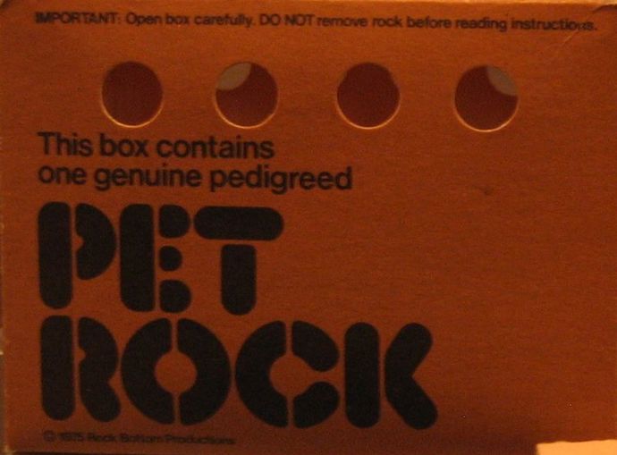 Kus kamene jako domácí mazlíček? Proč ne...