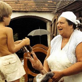 Komedie Slunce, seno, jahody vznikla zcela náhodně, když Zdeněk Troška pronesl, proč dovážet filmy z Itálie, když se nabízí mnohem levnější varianta. Natáčet taškařice z venkova doma. Inspirací mu byla italská komedie Cukr, med a feferonka (1980).