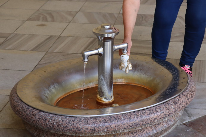 Mlýnský pramen je známý od 16. století a jméno dostal podle dnes již zaniknutého mlýna, který stával na řece Teplá.