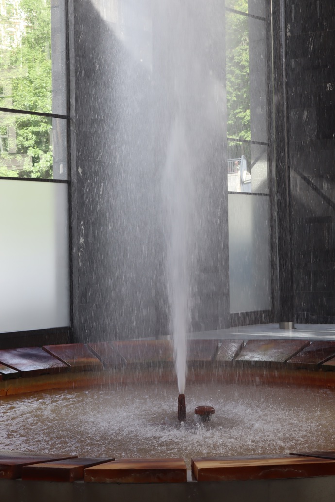 Vřídlo je největší pramen termální vody v Karlových Varech. A díky teplotě 72 °C jde také o neteplejší termální pramen u nás.