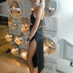 Ani závěrečný ceremoniál letošního filmového festivalu se neobešel bez slečny, která si spletla podnik. O to víc zamrzí, že jde o slečnu, které v žilách koluje modrá krev: Francesca Dominika Kolowrat-Krakowská, aristokratka. Oblékla by se stejně na rodinnou oslavu?