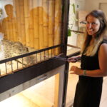 Redaktorka Veronika Nováková si v Krokodýlí zoo vyzkoušela jednoho ze zdejších svěřenců nakrmit. Dostala k tomu speciální dlouhou pinzetu.