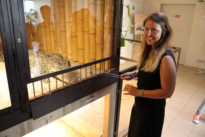 Redaktorka Veronika Nováková si v Krokodýlí zoo vyzkoušela jednoho ze zdejších svěřenců nakrmit. Dostala k tomu speciální dlouhou pinzetu.