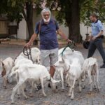 Jan se vydává na neobvyklou cestu. Jeho cílem je proměna z králíka zpátky v tygra.