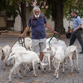Jan se vydává na neobvyklou cestu. Jeho cílem je proměna z králíka zpátky v tygra.