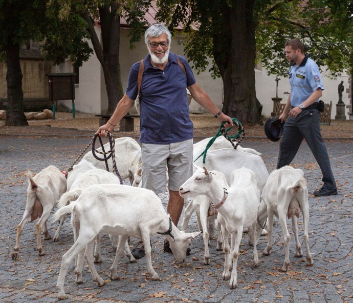 Jan se vydává na neobvyklou cestu. Jeho cílem je proměna z králíka zpátky v tygra.