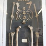 ...objevili vědci ve Wookey Hole kostru. Lidé byli přesvědčeni, že jde o důkaz existence čarodějnice. Ostatky však ve skutečnosti patřily mladému muži.