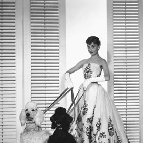 "Věřím v to, že šťastné ženy jsou krásné ženy."