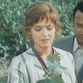 Film Bouřlivé víno vznikl na objednávku ředitele Barrandova Miloslava Fábery.