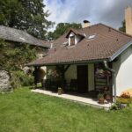 Pandemie covidu přinesla Petře Janů příjemný únik do přírody a okolních lesů.