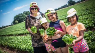 Děti prozkoumaly, jak v Polabí sklízí salát Little Gem a rovnou na poli ho i ochutnaly
