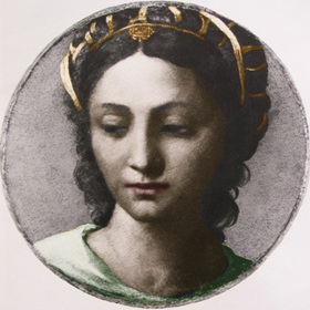 Svazku s Alžbětou Habsburskou ale nefandila Zikmundova matka Bona Sforza. Snažila se Alžbětě házet klacky pod nohy.