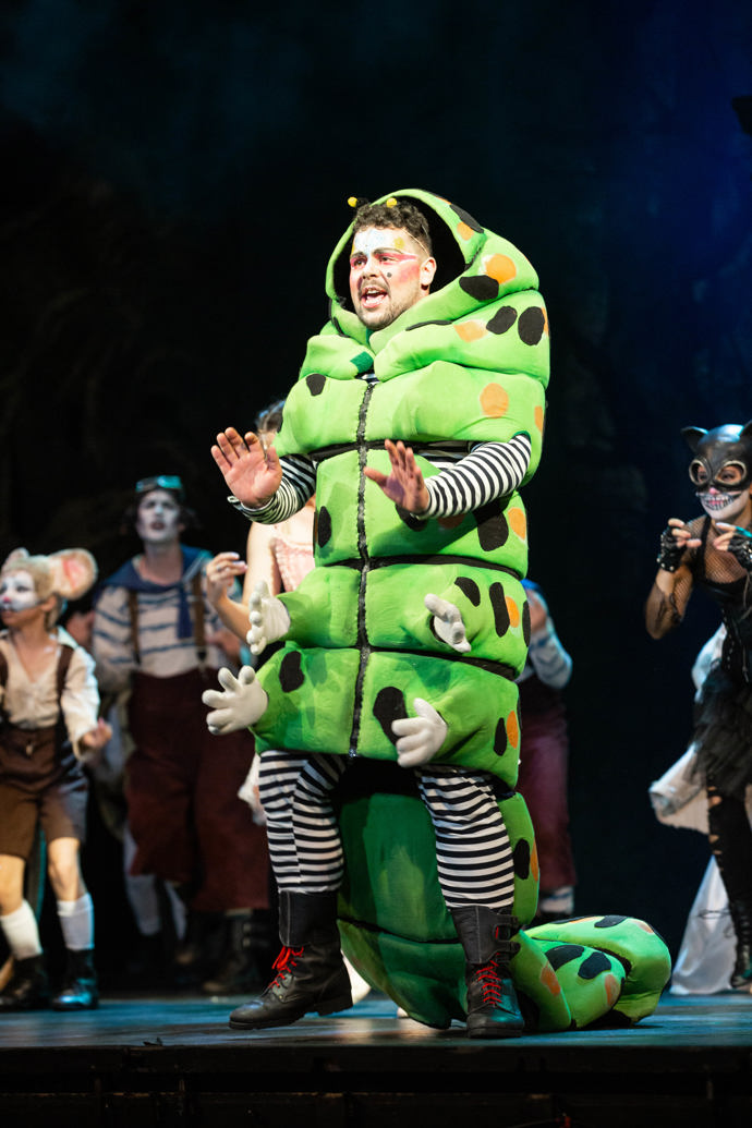 Martin Schreiner jako Houseňák.