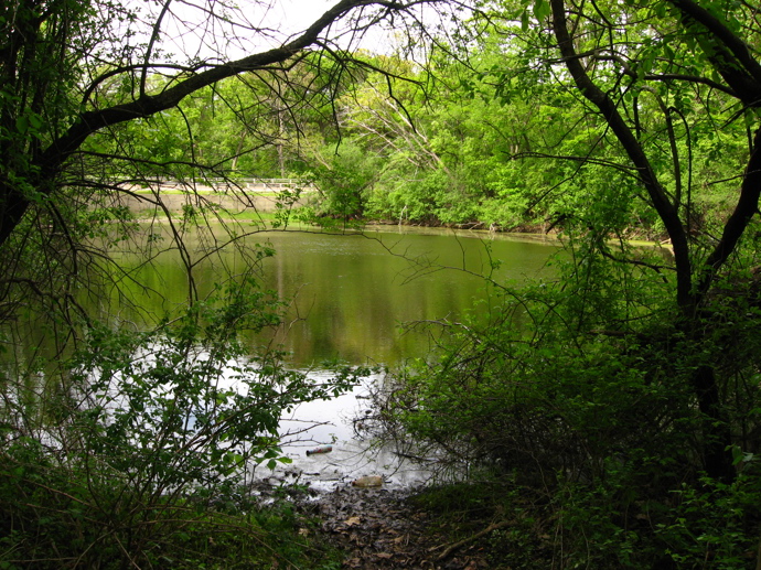 A u rybníku má číhat dvouhlavé monstrum...