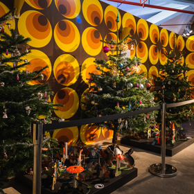 Češi si mezi stromky oblíbili jedle a smrky.