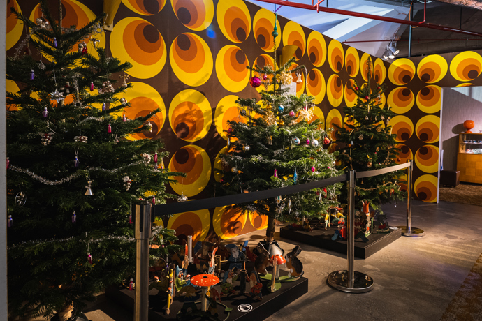 Češi si mezi stromky oblíbili jedle a smrky.