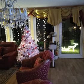 Takhle letos vypadá Moniččina vánoční pohoda.