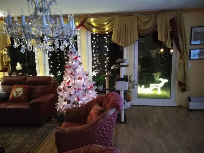 Takhle letos vypadá Moniččina vánoční pohoda.