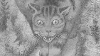 Děsivá vánoční kočka Jólakötturinn: Prý sežere zaživa každého, kdo nemá pod stromkem nové oblečení