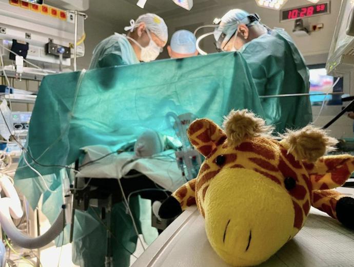 Virtuální nebo i rozšířená realita (často v kombinaci s 3D tiskem) už v IKEM pomohla u více než stovky operací. Chirurgové se díky ní mohou lépe připravit na nejsložitější výkony u dětí i dospělých.