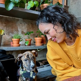 Místo toho si pořídili pejska Dobiáška.