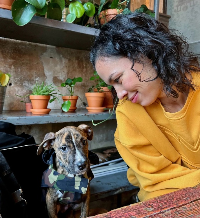 Místo toho si pořídili pejska Dobiáška.