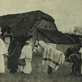 Kobyla je populární hlavně v Jižních Čechách. Při oslavách mnohdy hraje zásadní roli. Na konci veselí bývá popravena a znovu oživena.
