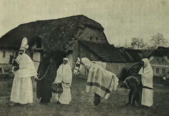 Kobyla je populární hlavně v Jižních Čechách. Při oslavách mnohdy hraje zásadní roli. Na konci veselí bývá popravena a znovu oživena.