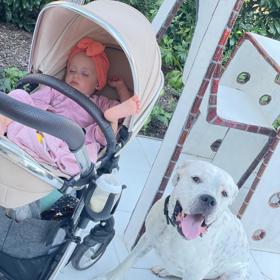 Zpěvačka Kateřina Mátlová si na procházky s kočárkem bere ještě argentinskou dogu.