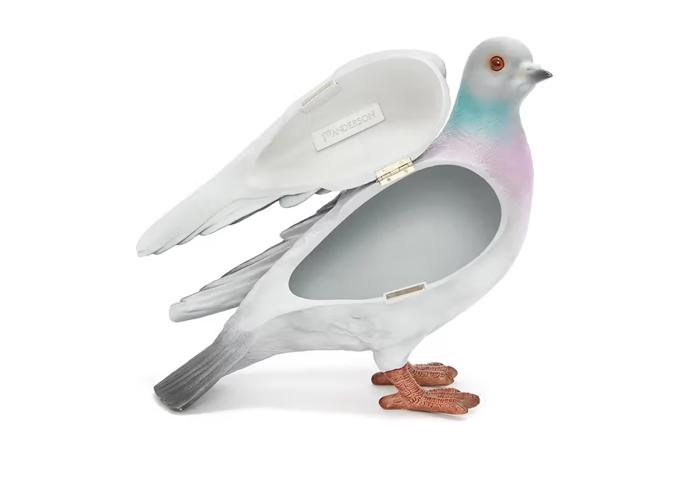 Útroby holuba pojmou opravdu jen to nejnutnější.