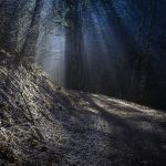 Hustými jedlemi Schwarzwaldského lesa neproniknou téměř žádné sluneční paprsky. Není tak divu, že zde bratři Grimmové umístili děj hned několika svých pohádek. Má tam strašit bezhlavý jezdec na velkém bílém oři, který unáší ženy do svého doupěte.