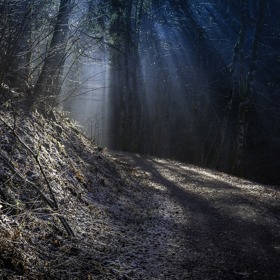 Hustými jedlemi Schwarzwaldského lesa neproniknou téměř žádné sluneční paprsky. Není tak divu, že zde bratři Grimmové umístili děj hned několika svých pohádek. Má tam strašit bezhlavý jezdec na velkém bílém oři, který unáší ženy do svého doupěte.