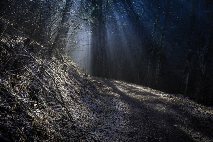 Hustými jedlemi Schwarzwaldského lesa neproniknou téměř žádné sluneční paprsky. Není tak divu, že zde bratři Grimmové umístili děj hned několika svých pohádek. Má tam strašit bezhlavý jezdec na velkém bílém oři, který unáší ženy do svého doupěte.