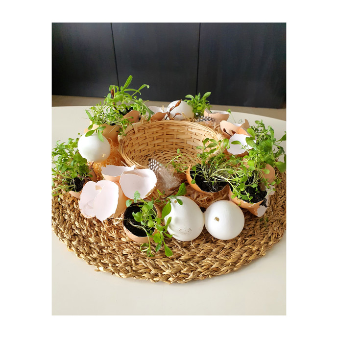 Prázdné skořápky Gabriela naplnila hlínou a svěžími zelenými rostlinkami.