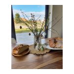 Samozřejmostí jsou první zelené ratolesti ve váze. Jaro může přijít!