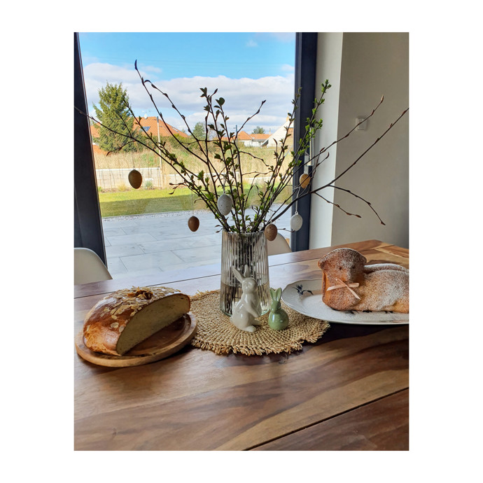 Samozřejmostí jsou první zelené ratolesti ve váze. Jaro může přijít!