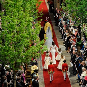 Ve Westminsterském opatství se nacházely javory polní, symbolizující rezervovanost a pokoru. Zdobily uličku tak, aby měli hosté dojem, že jsou v anglické venkovské zahradě. Javory poté putovaly do letního sídla krále Karla III.