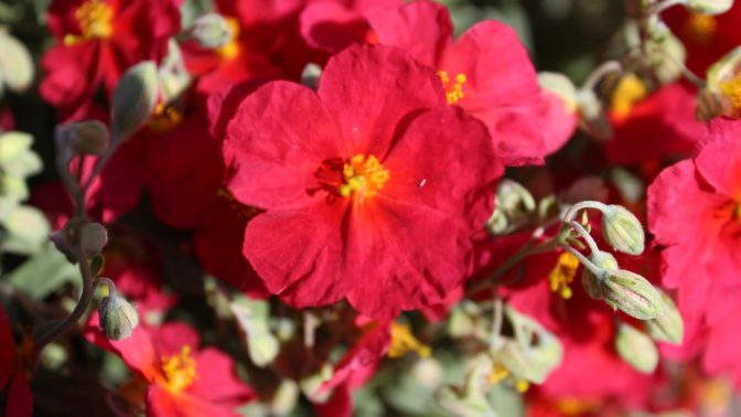 Rozlučte se konečně se zimou a užijte si jarní dny