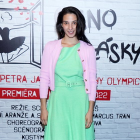 Zpěvačka už účinkuje v muzikálu Okno mé lásky v Divadle Broadway.