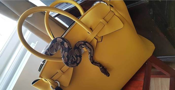 Tereza žertuje, že kabelku by ze své hadí samičky nikdy udělat nenechala.