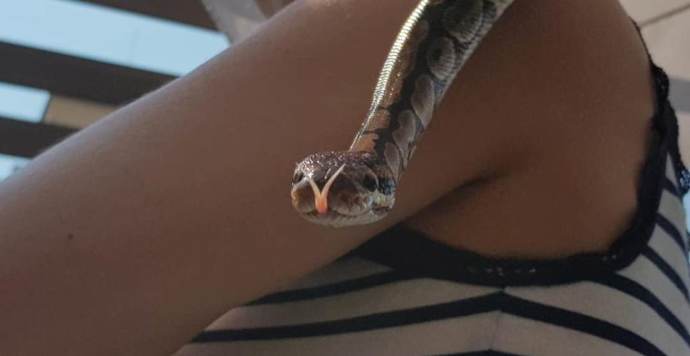 Jak navíc popisuje Tereza Kostková, je také velmi společenská.