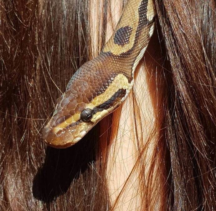 Pan veterinář si prý kondici Darthičky pochvaluje.