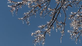 Ledoví muži Pankrác, Servác a Bonifác: Trojice nejproklínanějších svatých spaluje mrazem ovoce a deštěm kazí obilí